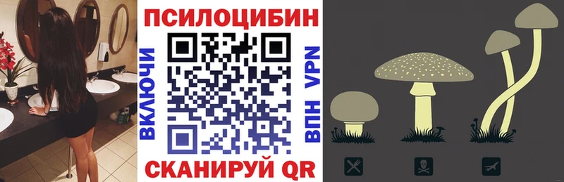 продажа наркотиков  Безенчук  Псилоцибиновые грибы Psilocybe 